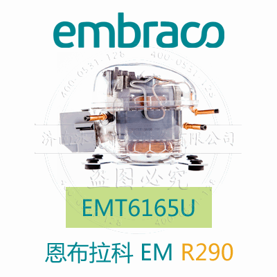 EMT6165U EMT6165U